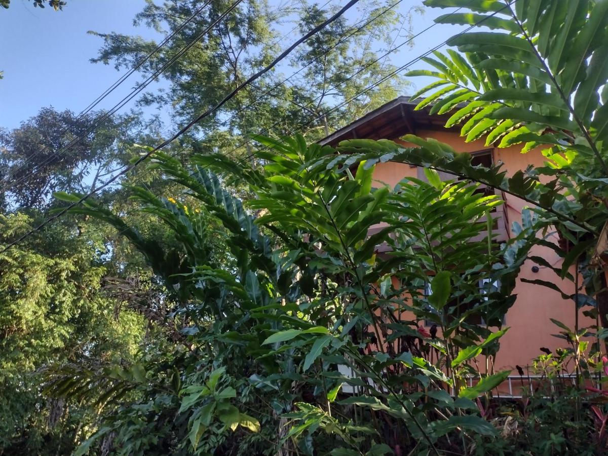 Flat Prumirim Ubatuba Exterior foto
